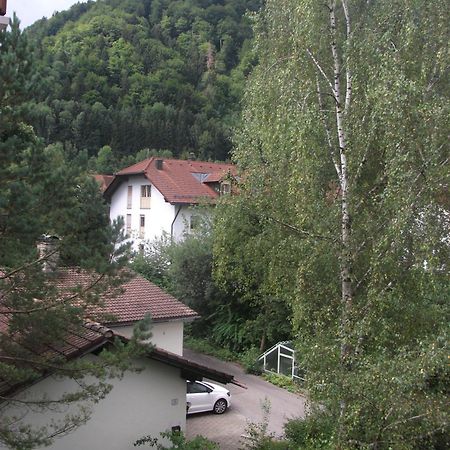 Appartemant Steineberg Daire Immenstadt im Allgäu Dış mekan fotoğraf