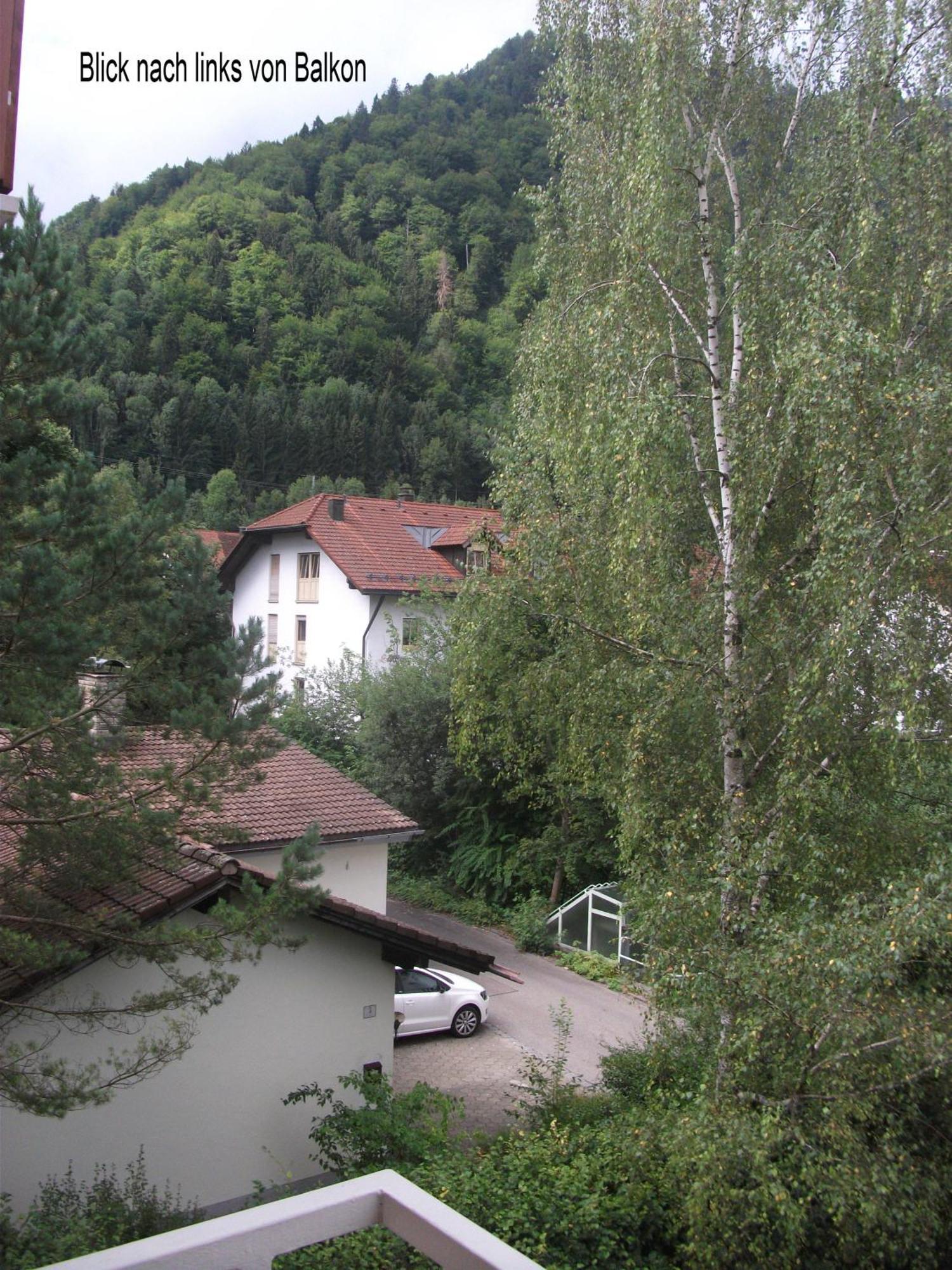 Appartemant Steineberg Immenstadt im Allgäu Dış mekan fotoğraf